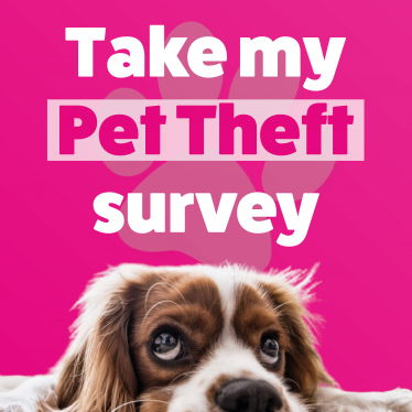 Pet Theft Survey